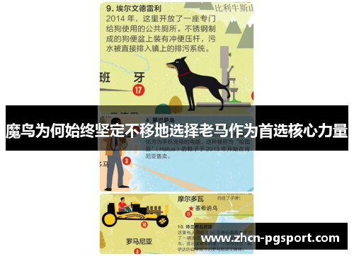 魔鸟为何始终坚定不移地选择老马作为首选核心力量